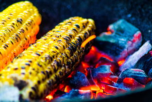 MILAN SPORTS-运动饮食干预对运动表现的促进研究，举例阐述饮食运动对健康的意义