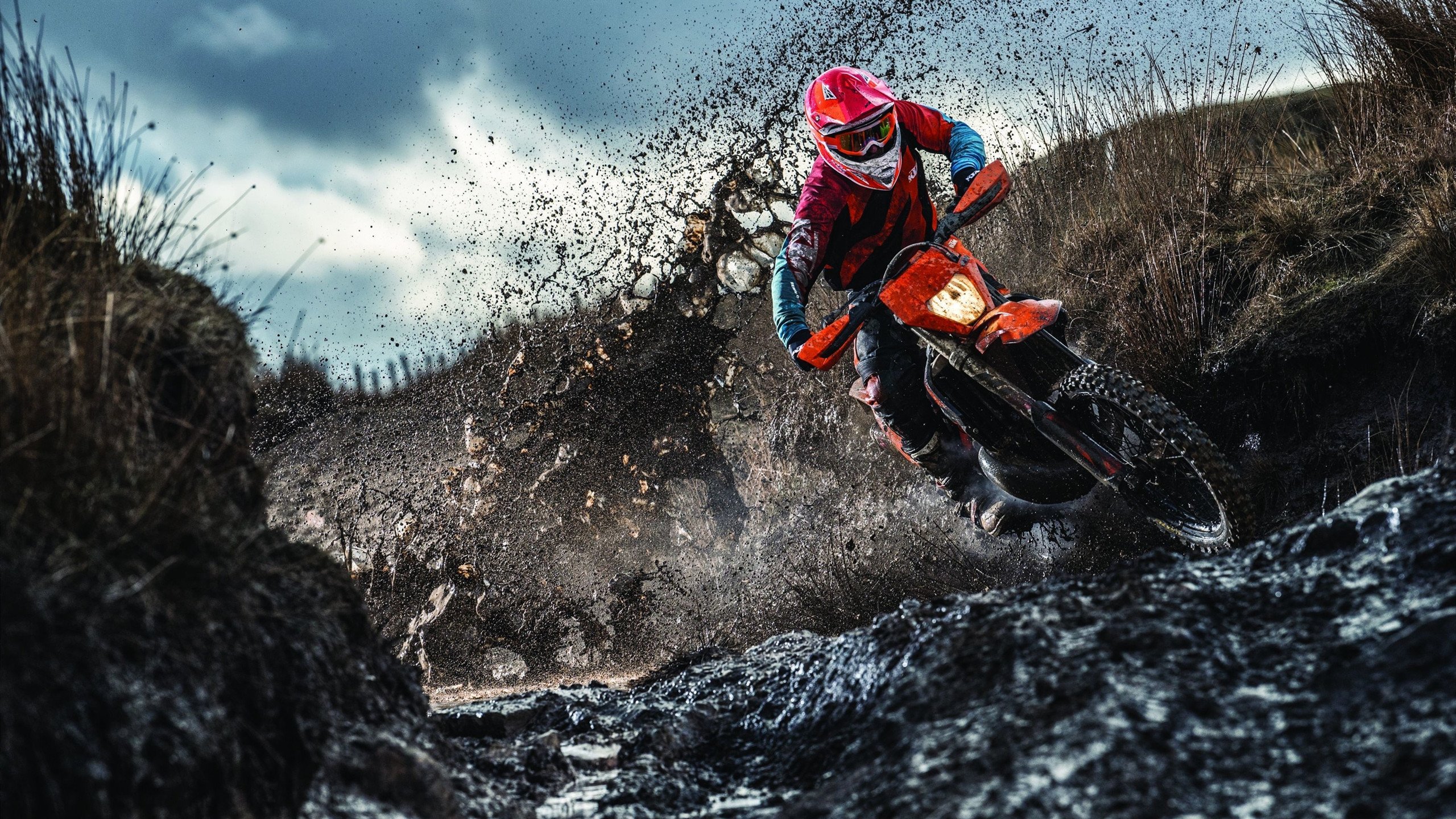 篮球赛季得分王竞争